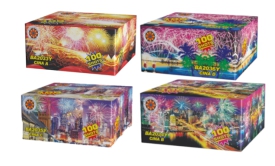 assieme del cina.jpg